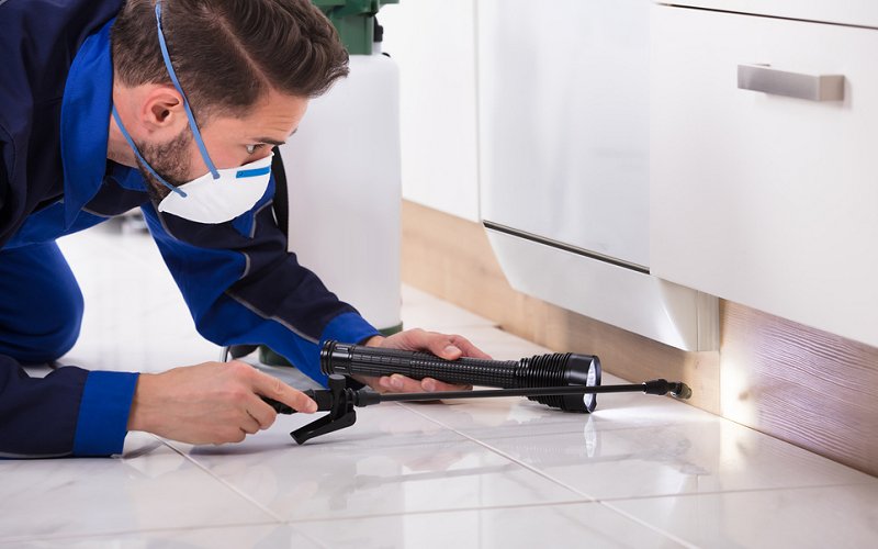 pest-control-inspection